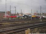 Blick auf die abgestellte 295 XXX von Railsystem RP in Halle (Saale) am 22.11.15