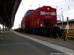 203 120 der WFL im Stralsunder Hbf am 23.5.16