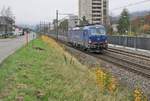 Die WRS 193 493 auf der Fahrt nach Biel/Bienne bei Grenchen.