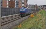 Die WRS  193 493 auf der Fahrt nach Biel/Bienne bei Grenchen. 

11. Nov. 2020