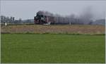 Bei Kilometer 10.4 der Mecklenburgischen Bderbahn dampft die 99 2321-0 mit ihrem Zug aus Khlungsborn in Richtung Bad Doberan.