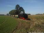 Am 16.10.12 Dampfte RBB 99 1782 von Putbus LB nach Ostseebad Ghren / Hier kurz vor Beuchow, Hhe Bahnbergang Plattenweg Pastitz-Lonvitz 