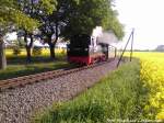 RBB 99 4802 unterwegs nach Ostseebad Ghren / hier zwischen Beuchow & Posewald am 27.5.13