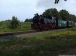 RBB 99 4011 unterwegs nach Lauterbach Mole / Hier zwischen Beuchow & Putbus am 6.8.13