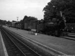 RBB Mh 52 mit dem Sonderzug im Bahnhof Putbus am 30.8.13