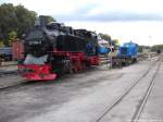 RBB 99 1784 & 199 008 im Kleinbahn BW Putbus am 15.9.13