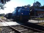 RBB 251 901 hat sich vom Zug Getrennt und wird nun bis zur nchsten Fahrt nahc Lauterbach Mole im Bahnhof Putbus Wagen rangieren am 2.10.13