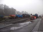 Blick auf die Abgestellten Loks 251 901 / 99 1784 & 99 1782 in Putbus am 18.1.14