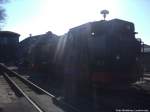 RBB Mh 53 und 99 1782 abgestellt am Kleinbahn BW Putbus am 20.3.14