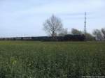 RBB 99 1781 kurz vor Putbus am 17.4.14