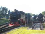 52 8079 abgestellt im Bahnhof Putbus und RBB 99 1784 unterwegs nach Lauterbach Mole am 14.6.14