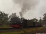 99 4511 mit dem Sonderzug-GmP beim Fotohalt in Posewald am 12.10.14