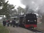 99 4511 mit dem Sonderzug-GmP beim Fotohalt in Posewald am 12.10.14