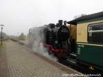 RBB 99 4011 im Bahnhof Putbus am 2.11.15