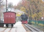 99 1781 im Bahnhof Baabe am 7.11.15