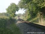 RBB 99 1781 beim kurz vor dem Putbusser Bahnhof am 29.5.15