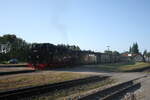 99 782 im Bahnhof Putbus am 30.7.21