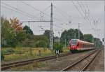 Von Rostock nach Sassnitz unterwegs ist dieser DB Flirt bei der Einfahrt in Ribnitz Dammgarten West.