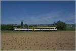 Ein DB VT 612 ist im schweizerisch Klettgau auf der Fahrt nach Schaffhausen. Hier stehen zur Zeit die wohl letzten Form Signale (Regelbetriebe) in der Schweiz. 

15. Mai 2022