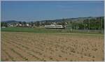 Ein DV VT 612 im Klettgau bei Neunkirch auf dem Weg nach Schaffhausen. Die Strecke im schweizerischen Klettgau gehört der DB. 

15. Mai 2022