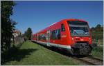 Der DB VT 650 314 und ein weiter als RB Radolfzell - Friedrichshafen bei Birnau.