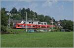 Zwei DB 650 Treibwagen streben bei Enzisweiler in Richtung Lindau Insel.

14. August 2021