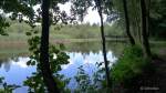 Teich bei Schmarbeck in der Lüneburger Heide.