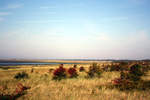 Landschaft der Insel Borkum am 25.8.19