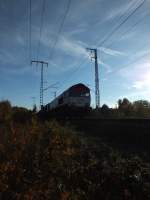 Noch ein Schattenbild: DE669 (92 80 1266 069-4 D-HGK) der HGK am 19.10.13 in der Wulheide.