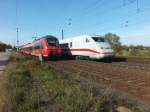 442 132 und 442 130 treffen am 22.10.13 im Bahnhof Saarmund auf 402 003  Cottbus .