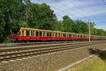 An der Spitze eines Zuges der Linie S3 rollt 480 022 dem nchsten Zwischenhalt in Friedrichshagen entgegen.