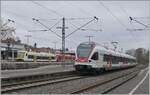 Seehas und Seehäsle in Radolfzell: Während der SBB RABe 521 203 als Seehas Radolfzell in Richtung Engen verlässt, warten im Hintergrund die beiden DB 650 023 und 650 115 als Seehäsle auf die baldige Abfahrt nach Stockach. 

15. März 2025