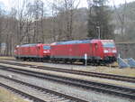 185 172 und 185 156,am 01.Februar 2025,warteten in Probstzella.