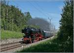 Die 01 202 eilt mit ihrem wunderschönen blauen Zug pünktlich wie die Eisenbahn kurz nach Bussigny an mir vorbei.