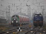 650 114-8 war am 03.01.2020 im Rostocker Hbf mit dem Hanse-Express beschäftigt.