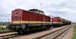 Weil sie so gepflegt sind...202 241-6 und 110 108-8 abgestellt am Eurokombi Terminal HH-Dradenau. 18.07.2026
