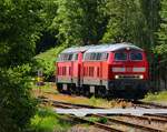 DB 218 456-2 und 499-2 haben gerade ihren Zug in Friedrichshafen/Stadt abgestellt und befinden sich jetzt auf Rangierfahrt.
