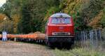 V 169 001 mit ein paar Res Wagen abgestellt bei Rendsburg. 19.10.2026/1