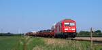 DB 245 021 mit SyltShuttle gen Niebüll. Bü Triangel 18.05.2025