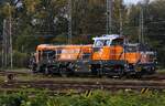 HamburgerRailService 4185 173-6 REV/VL/12.08.26 Hohe Schaar 15.10.2026 (c)N.M