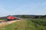 232 654-4 mit dem umgeleiteten 51683 Zwickau - Nrnberg bei Oberteich.