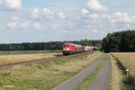 232 201-4 zieht bei Oberteich den 51724 NNR - LLE Frankenwald Umleiter und es ist der erste Einsatz nach dem sie aus Mühldorf wieder zurück ist.