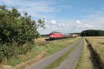 232 201-4 zieht bei Oberteich den 51724 NNR - LLE Frankenwald Umleiter und es ist der erste Einsatz nach dem sie aus Mühldorf wieder zurück ist.