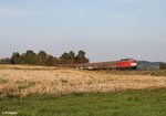 232 909 zieht den 51082 Frankenwald Umleiter bei Waldershof.02.09.16