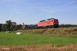 233 478-7 mit dem 45363 bei Waldershof mit viele CD-Cargo Wagen.