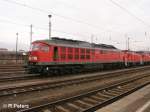 233 289-8 fhrt den Lokzug an in Cottbus.