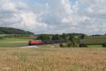 233 285-6 mit einem 49997 leer Autotransportzug nach Cheb bei Lengenfeld.