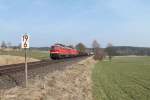 233 219 und 232 280 und der 45365 NNR - XTCH bei Naabdemenreuth.