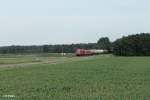 233 572 + GA 185 002 ziehen den 51750 NNR - Leipzig Engelsdorf , Frankenwald Umleiter bei Oberteich.