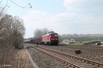 233 219-5 zieht bei Schönfeld bei Wiesau den 51723 Nürnberg - Leipzig Engelsdorf Frankenwaldumleiter.